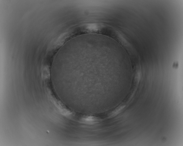 X0000111900467200907271202