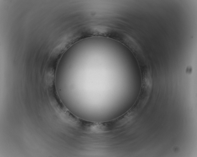 X0000111900468200907271202