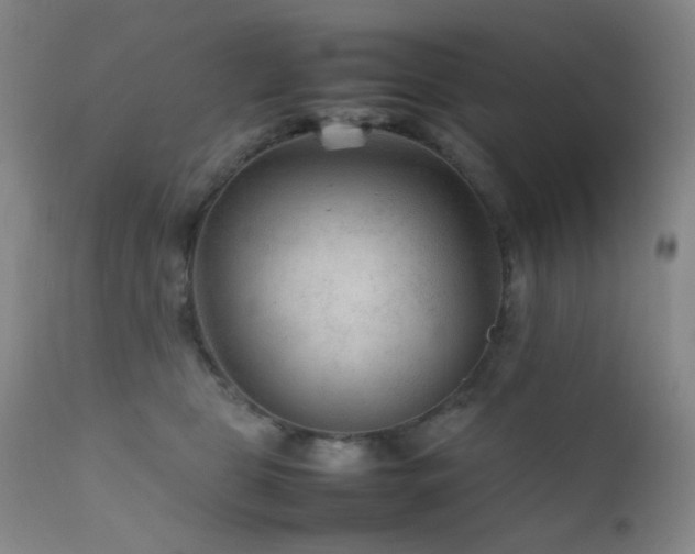 X0000111900469200907271202