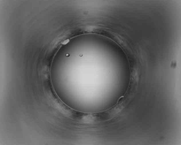 X0000111900470200907271202