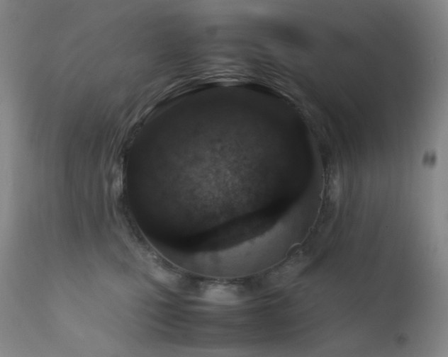 X0000111900471200907271202