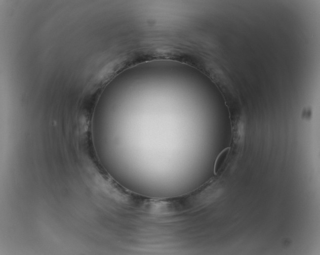 X0000111900472200907271202