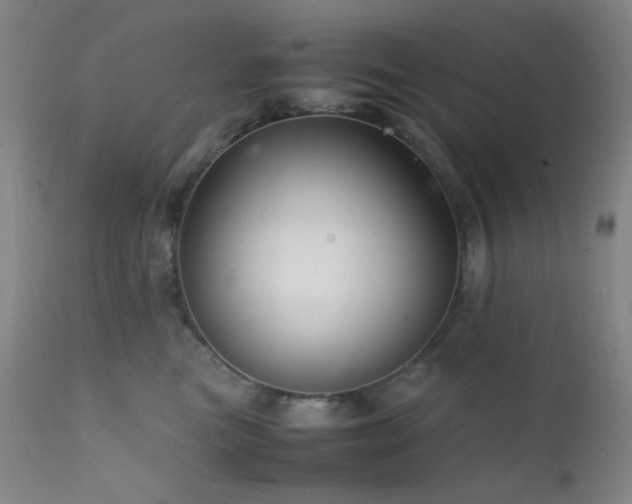 X0000111900473200907271202