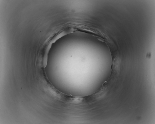 X0000111900474200907271202