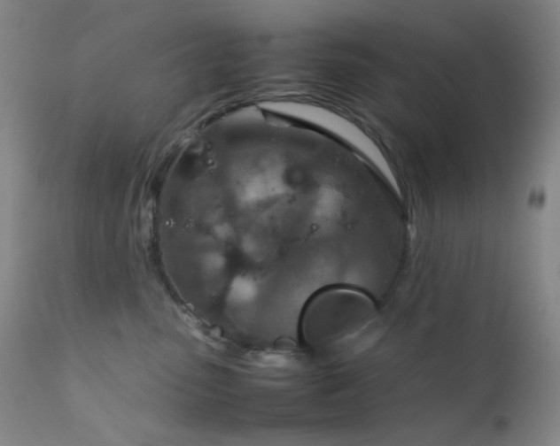 X0000111900475200907271202