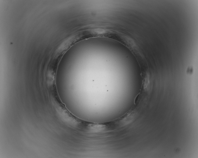 X0000111900476200907271202