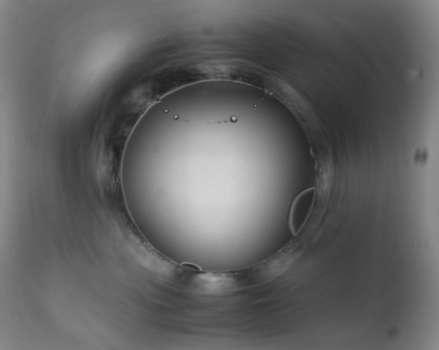 X0000111900477200907271202