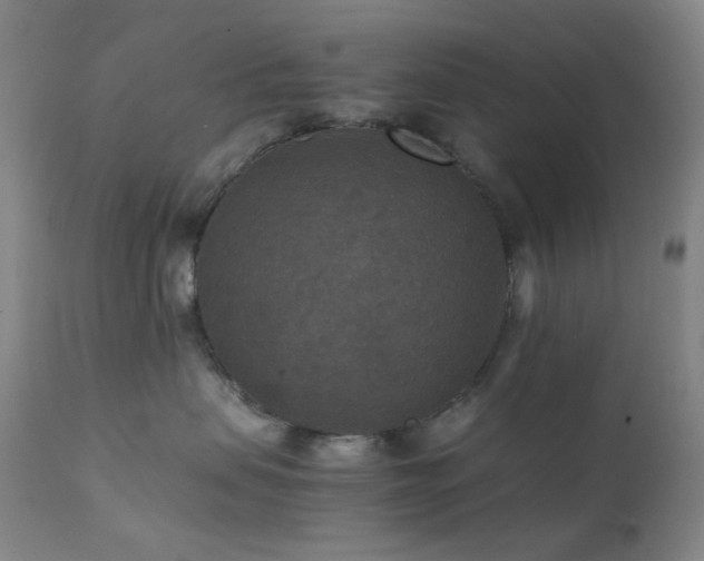 X0000111900479200907271202