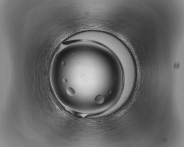 X0000111900481200907271201