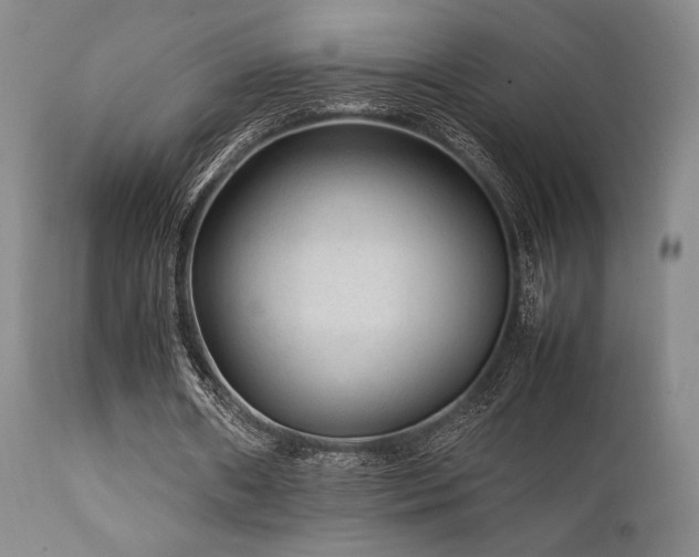 X0000111900482200907271201