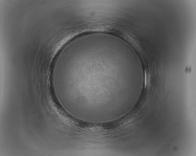 X0000111900483200907271201