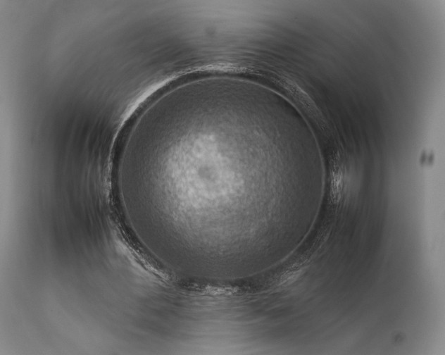 X0000111900484200907271201