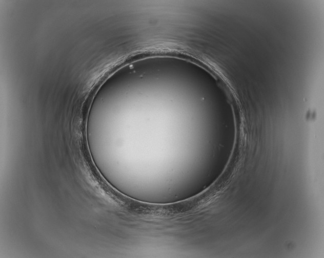 X0000111900485200907271201