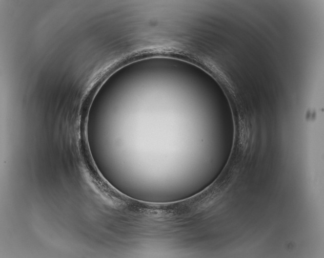 X0000111900486200907271201