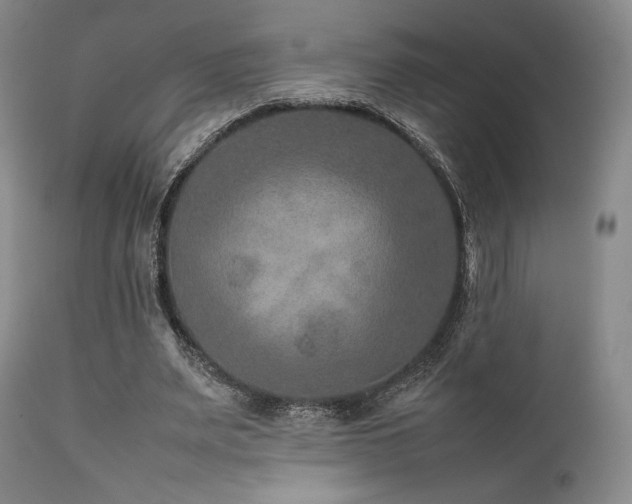 X0000111900487200907271201