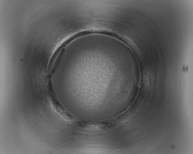 X0000111900488200907271201