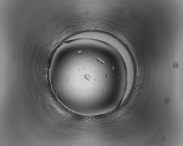 X0000111900489200907271201