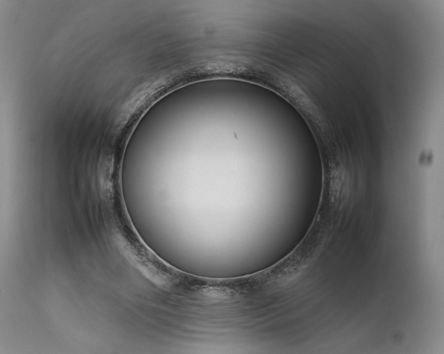 X0000111900490200907271201