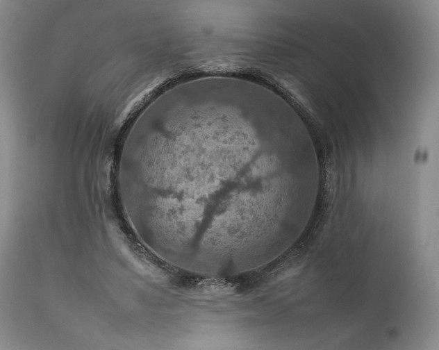 X0000111900491200907271201