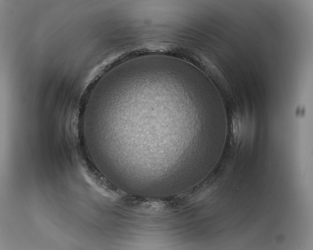 X0000111900492200907271201