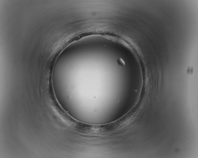 X0000111900493200907271201