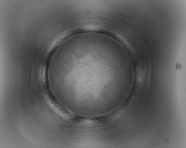 X0000111900494200907271201