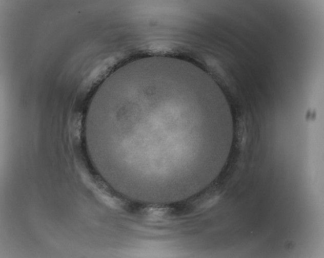 X0000111900495200907271201