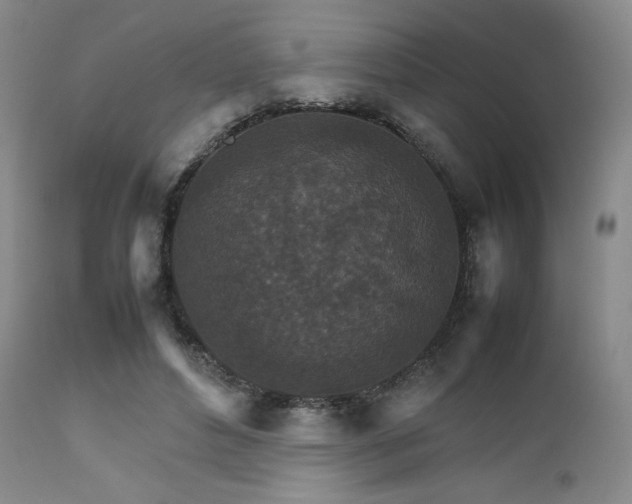 X0000111900496200907271201