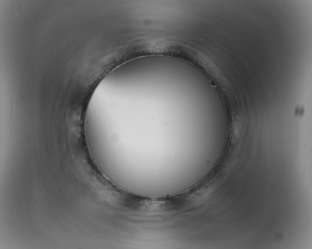 X0000111900497200907271201