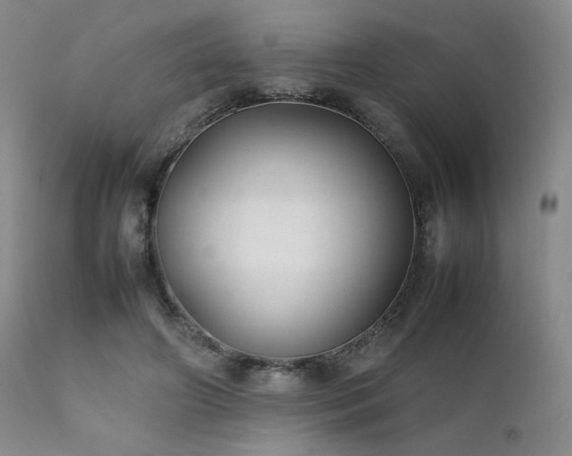 X0000111900498200907271201