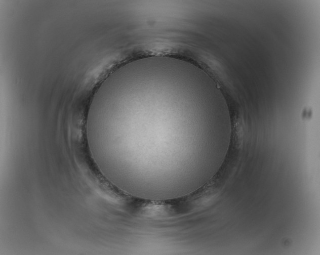 X0000111900499200907271201