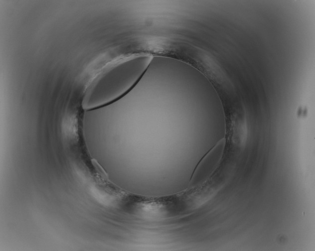 X0000111900500200907271201