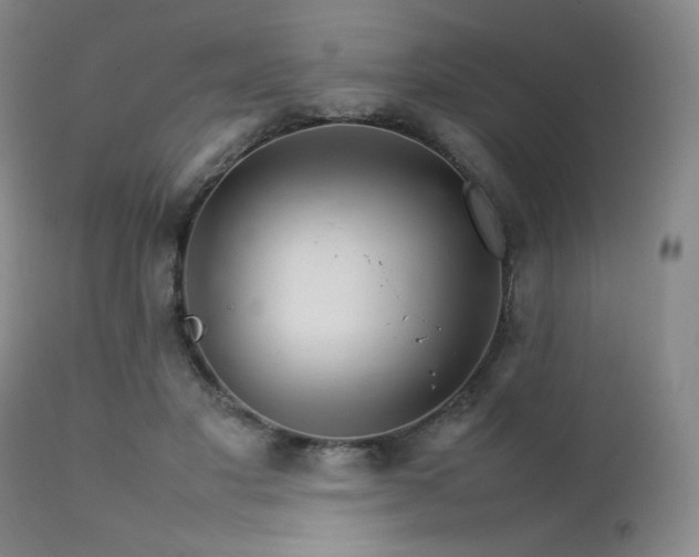 X0000111900501200907271201