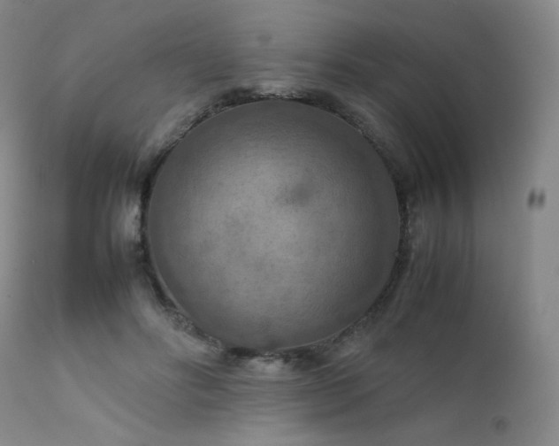 X0000111900502200907271201