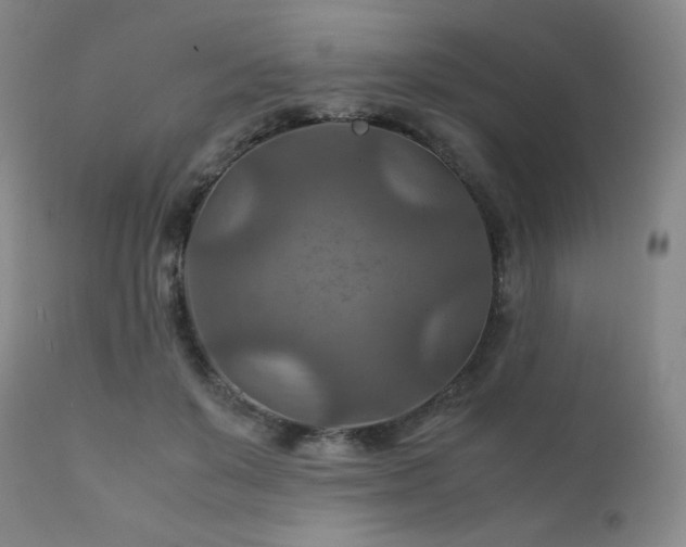 X0000111900503200907271201