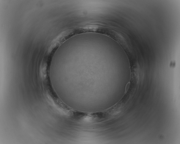 X0000111900504200907271201