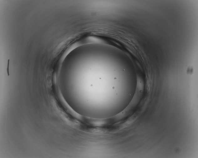 X0000111900505200907271201