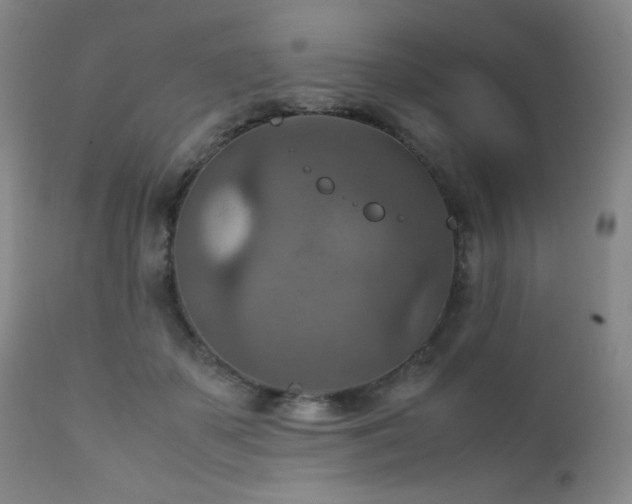 X0000111900507200907271201