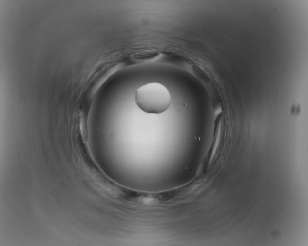 X0000111900509200907271201