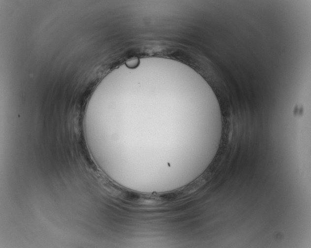 X0000111900510200907271201