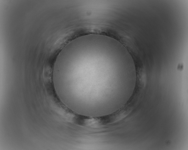 X0000111900511200907271201