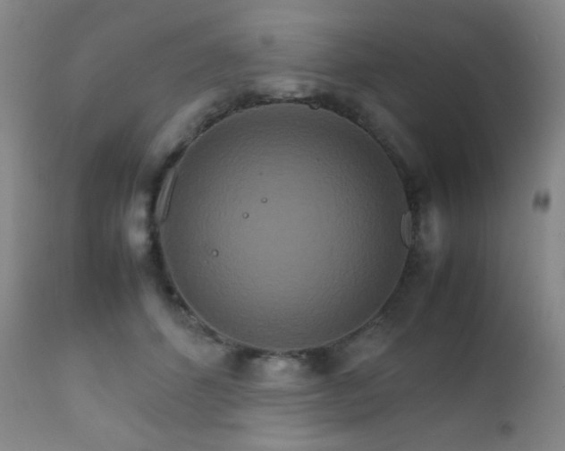 X0000111900512200907271201