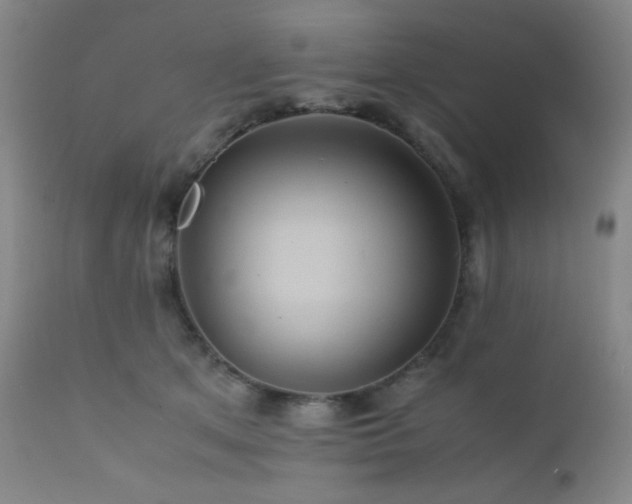 X0000111900513200907271201