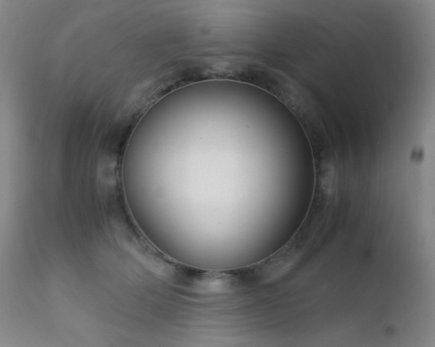 X0000111900514200907271201