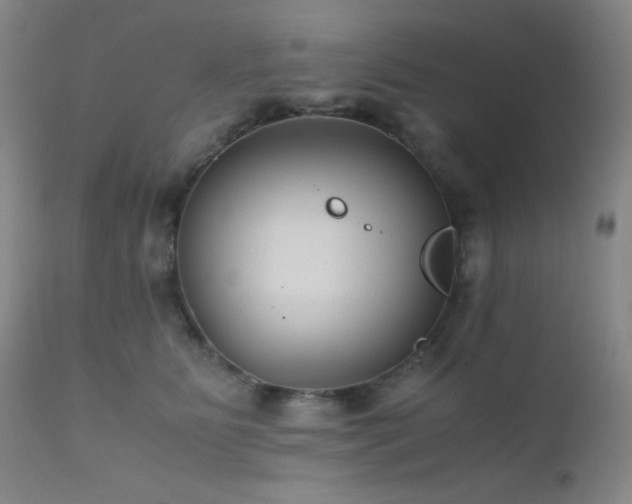 X0000111900515200907271201