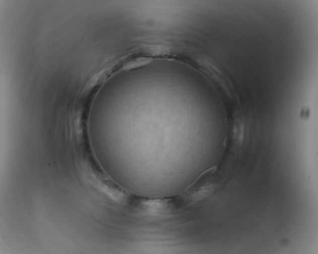 X0000111900516200907271201