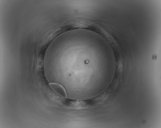 X0000111900517200907271201