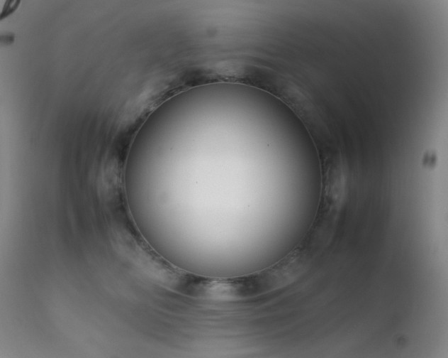 X0000111900518200907271201