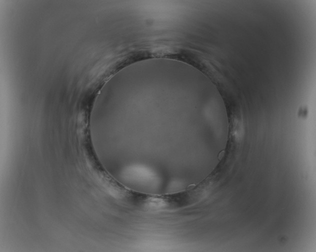 X0000111900519200907271201