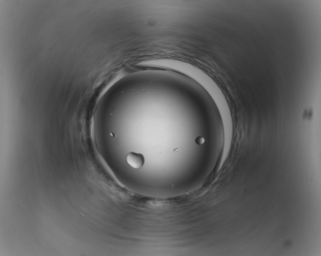 X0000111900520200907271201